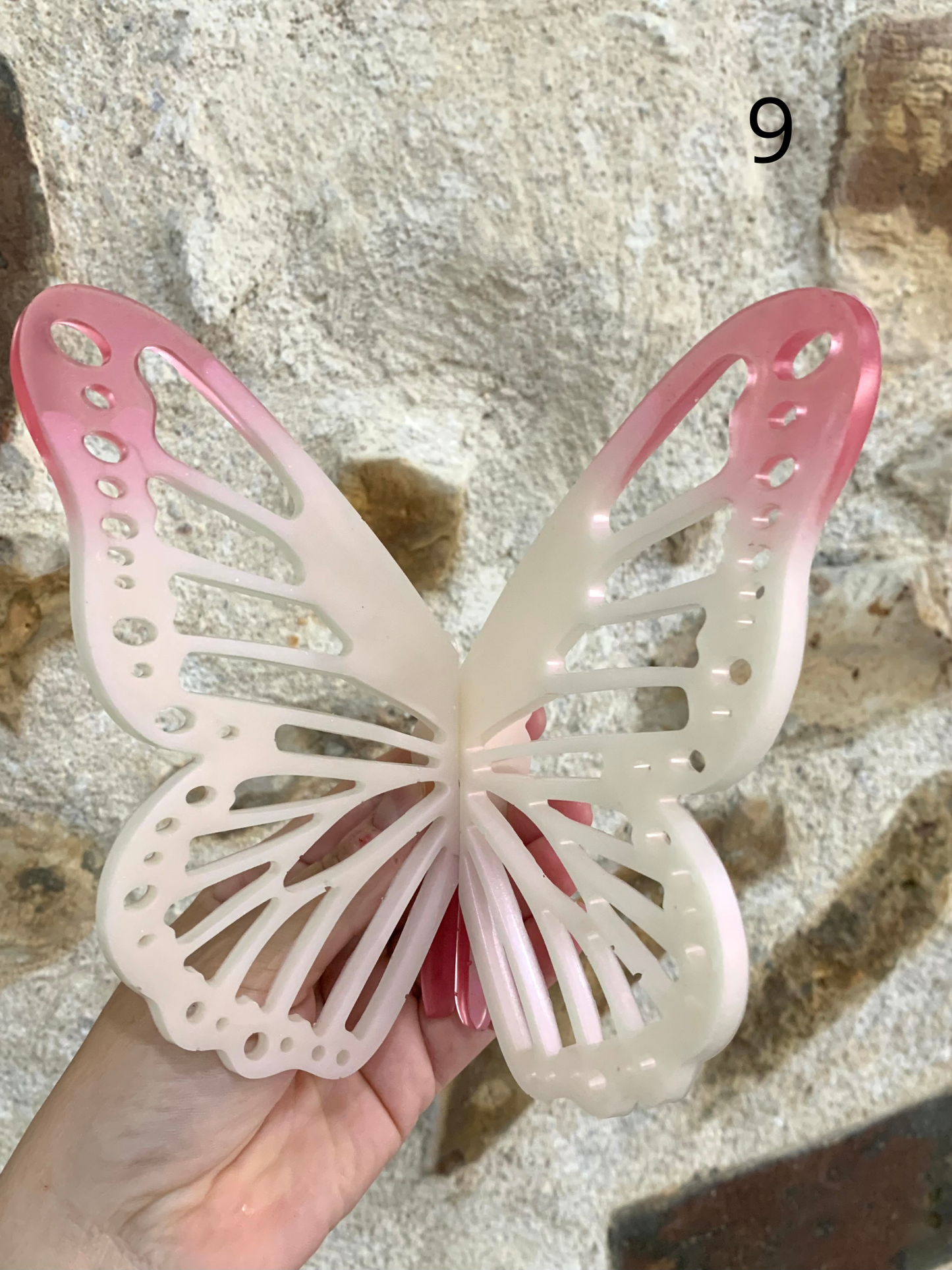 Papillon