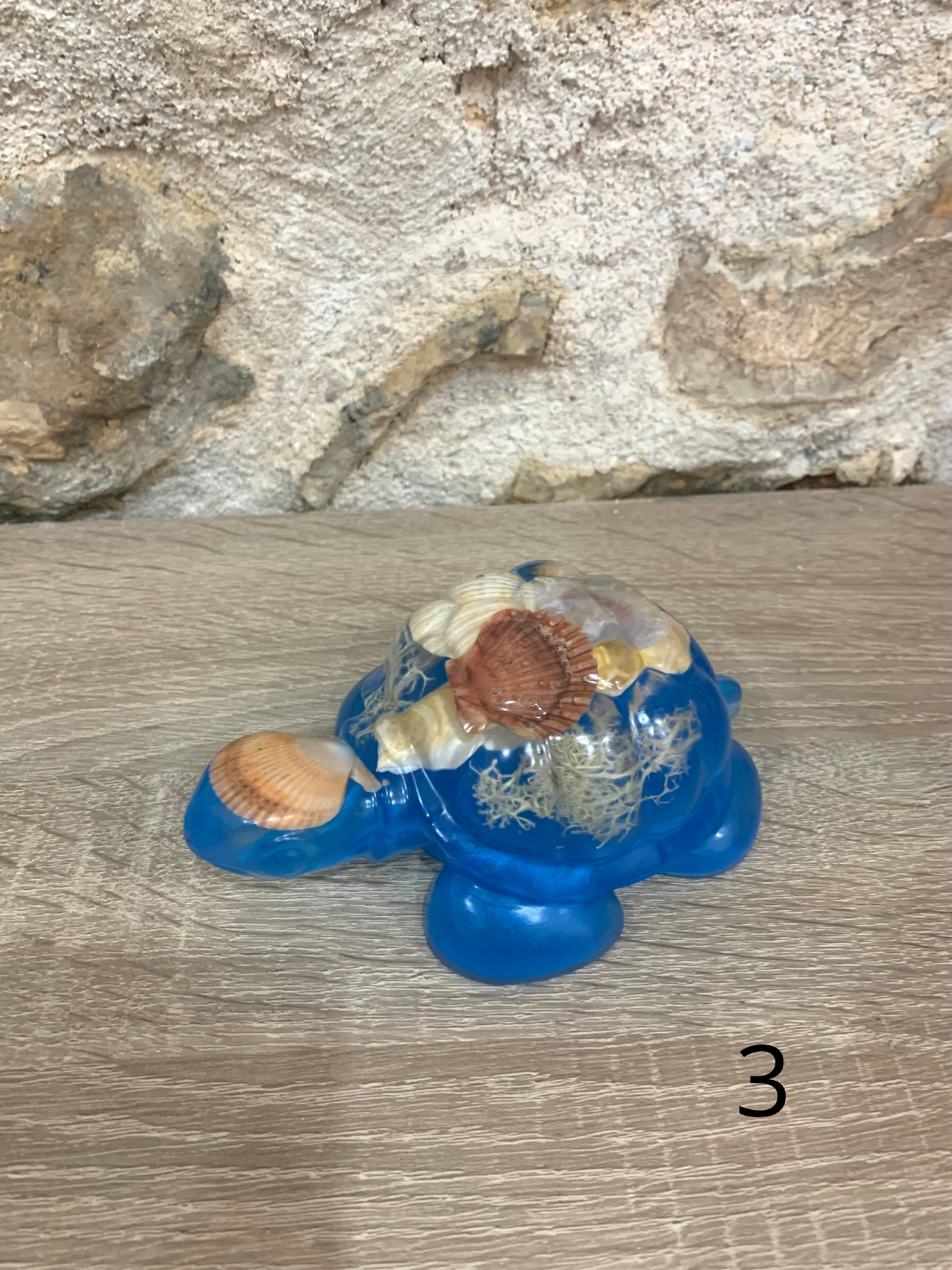 Tortue