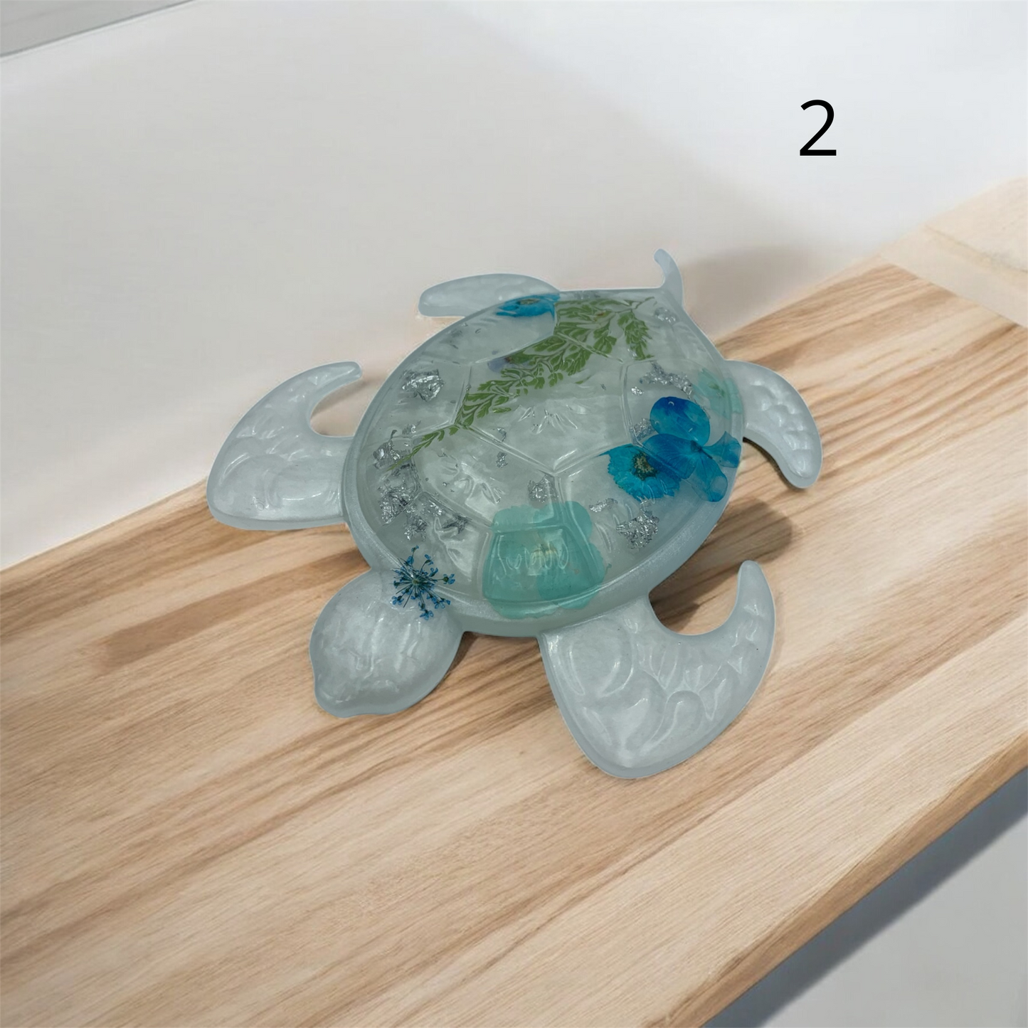 Tortue