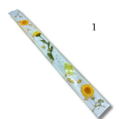 Rentrée des classes