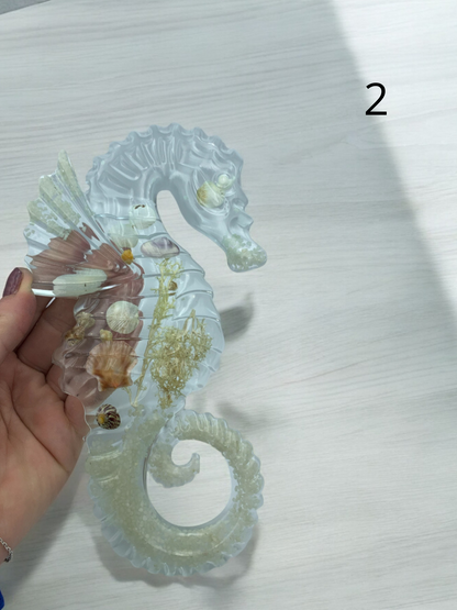 Hippocampe
